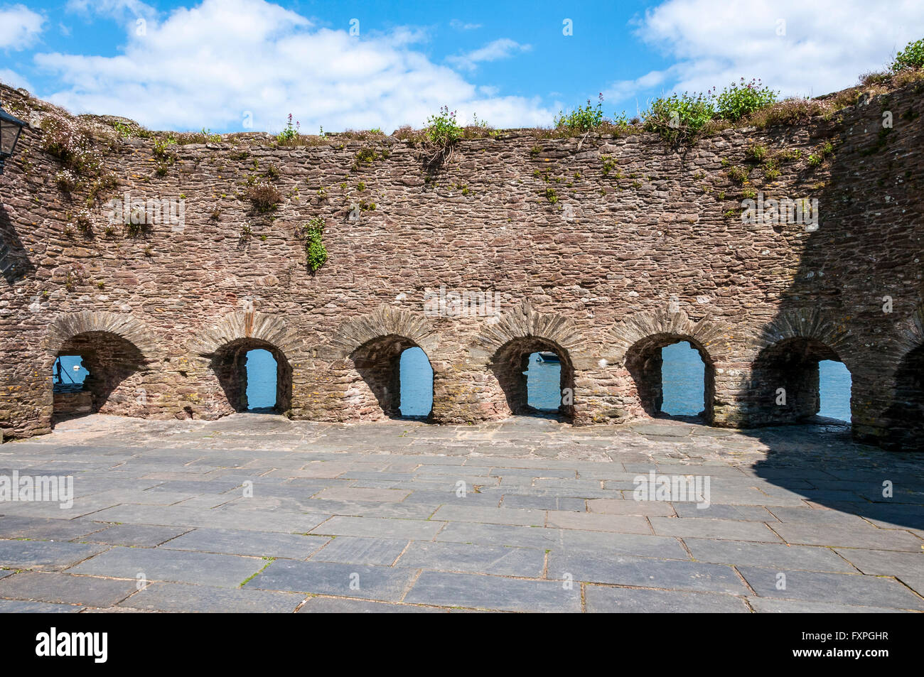 Wild plants thrive on the wall-walk above the gunports in the16th century thick stone wall of the interior of Bayard's Cove Fort Stock Photo