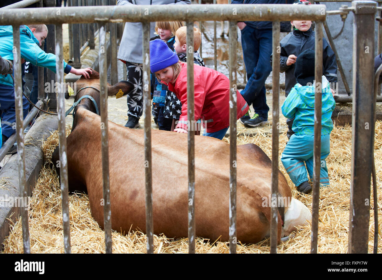 petting farms near me open