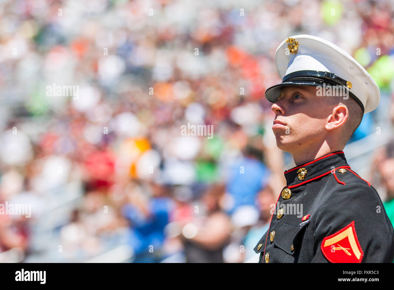 Bristol, TN, USA. 17th Apr, 2016. Bristol, TN - Apr 17, 2016: A Soldier stands gaurd during battles for position during the Food City 500 at the Bristol Motor Speedway in Bristol, TN. Credit:  csm/Alamy Live News Stock Photo