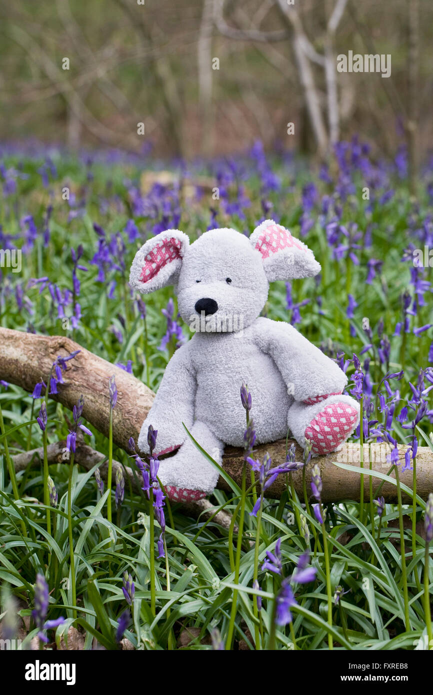 Child's soft toy mouse sitting on a log amongst the bluebells. Stock Photo