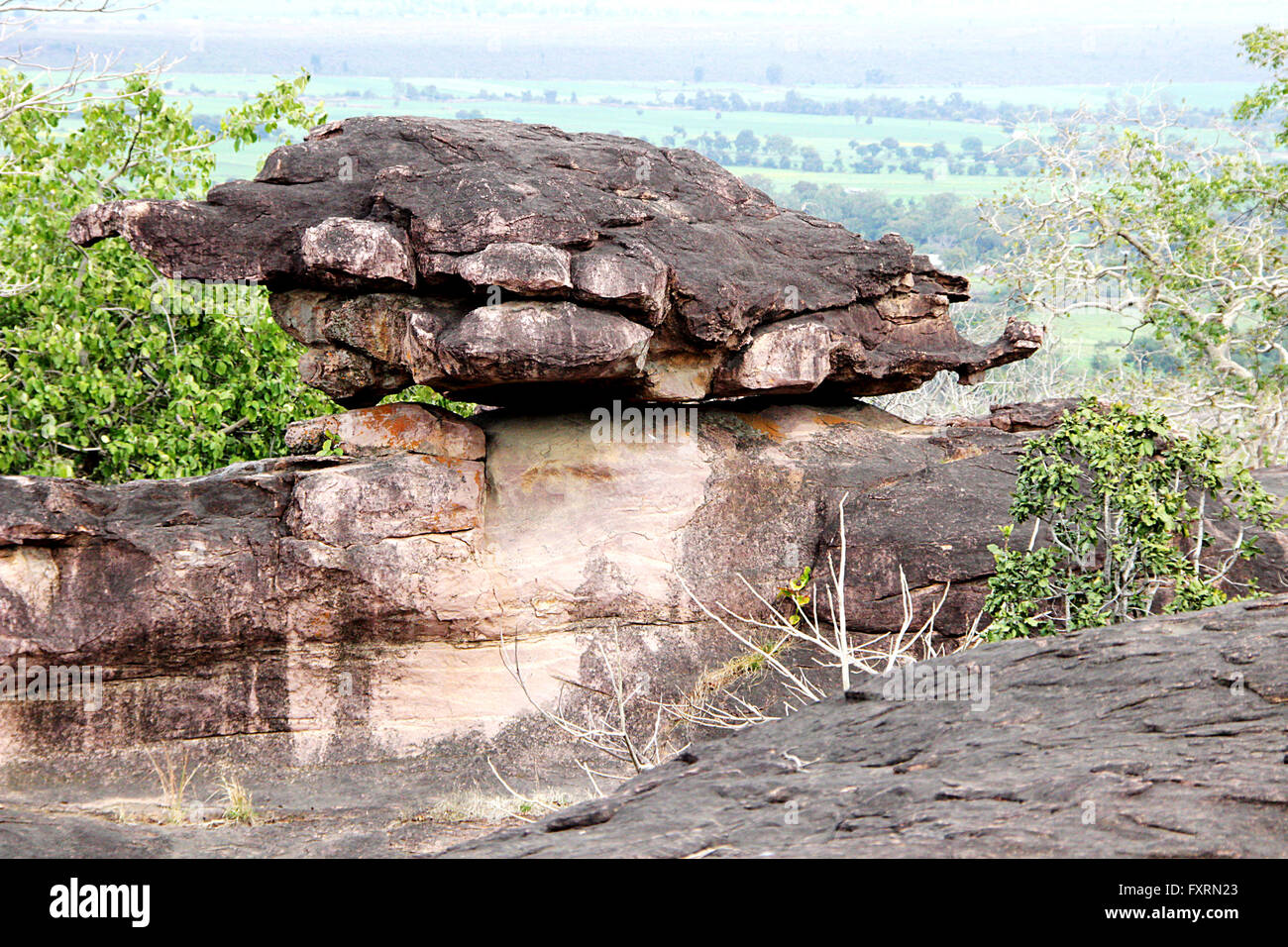 Natural wonder of lookalike land tortoise perching on rock at Bhimbetka, near Bhopal, Madhya Pradesh, India, Asia Stock Photo