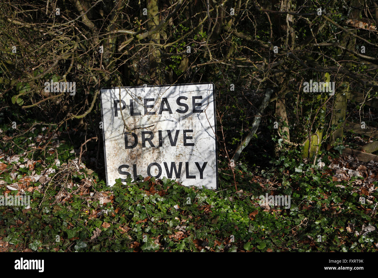 Please Drive Slowly sign by a country lane Stock Photo