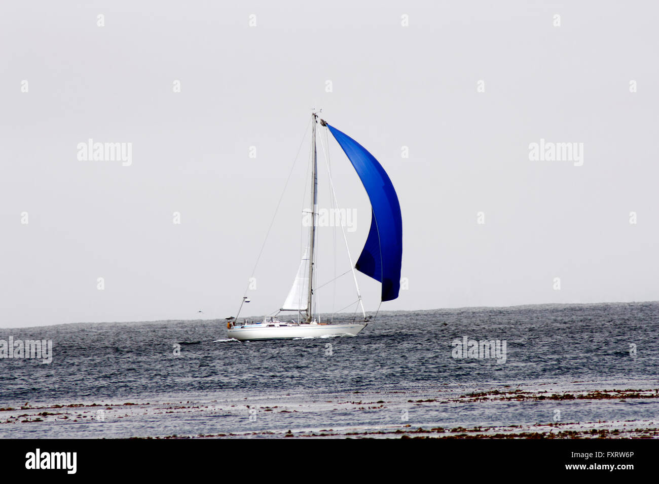 Sailboat Running Before the Wind Main and Spinnaker Stock Photo Alamy