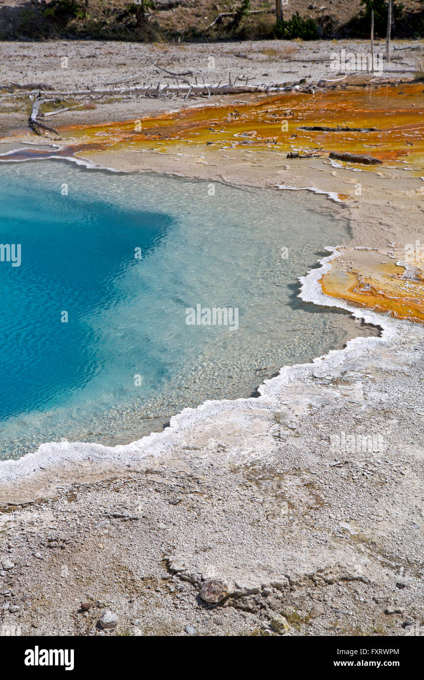 Silex Spring at Fountain Paint Pot, Yellowstone National Park Stock
