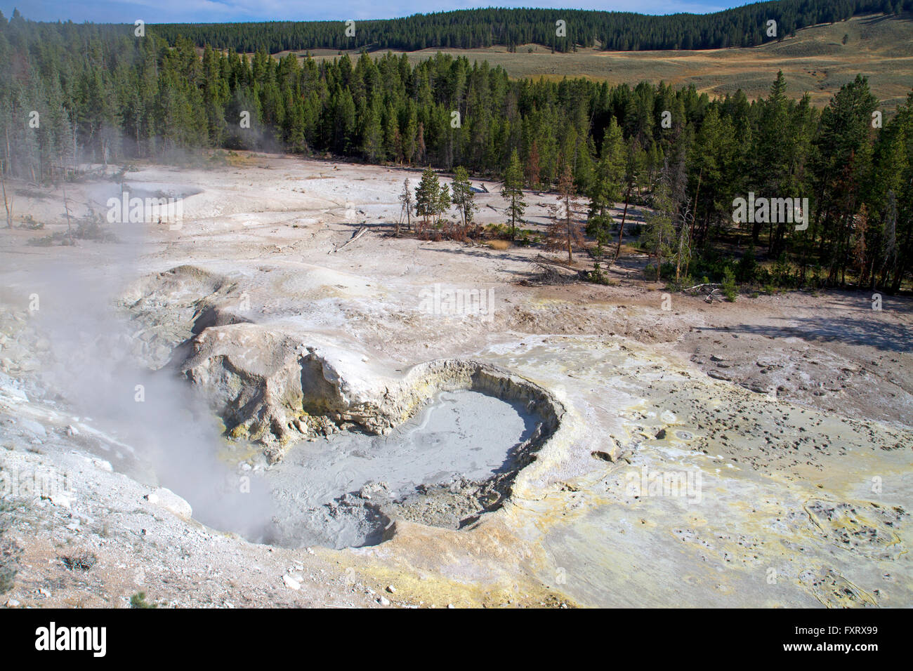 Sulphur Cauldron in Yellowstone National Park Stock Photo Alamy