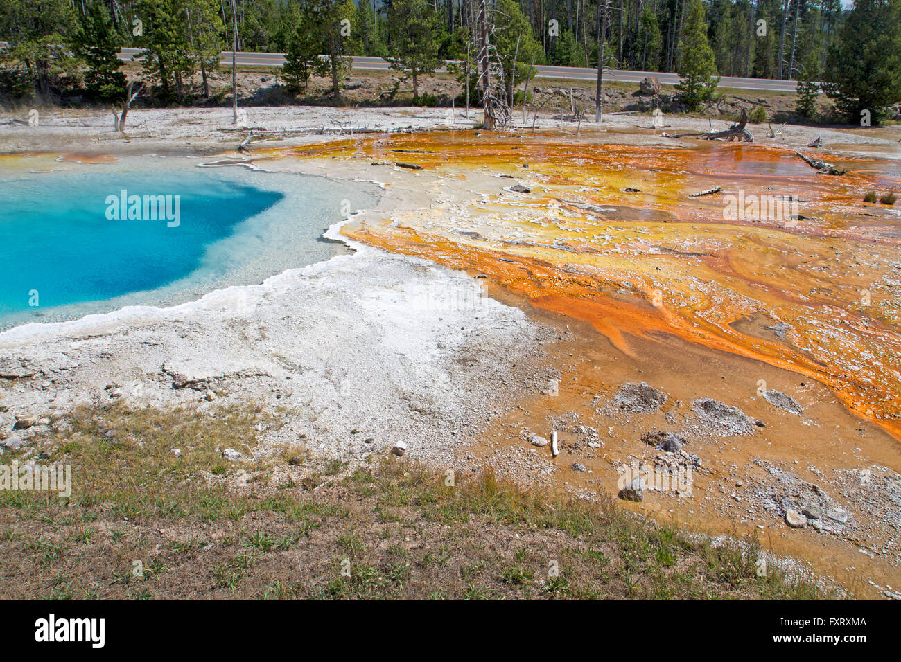 Silex Spring at Fountain Paint Pot, Yellowstone National Park Stock