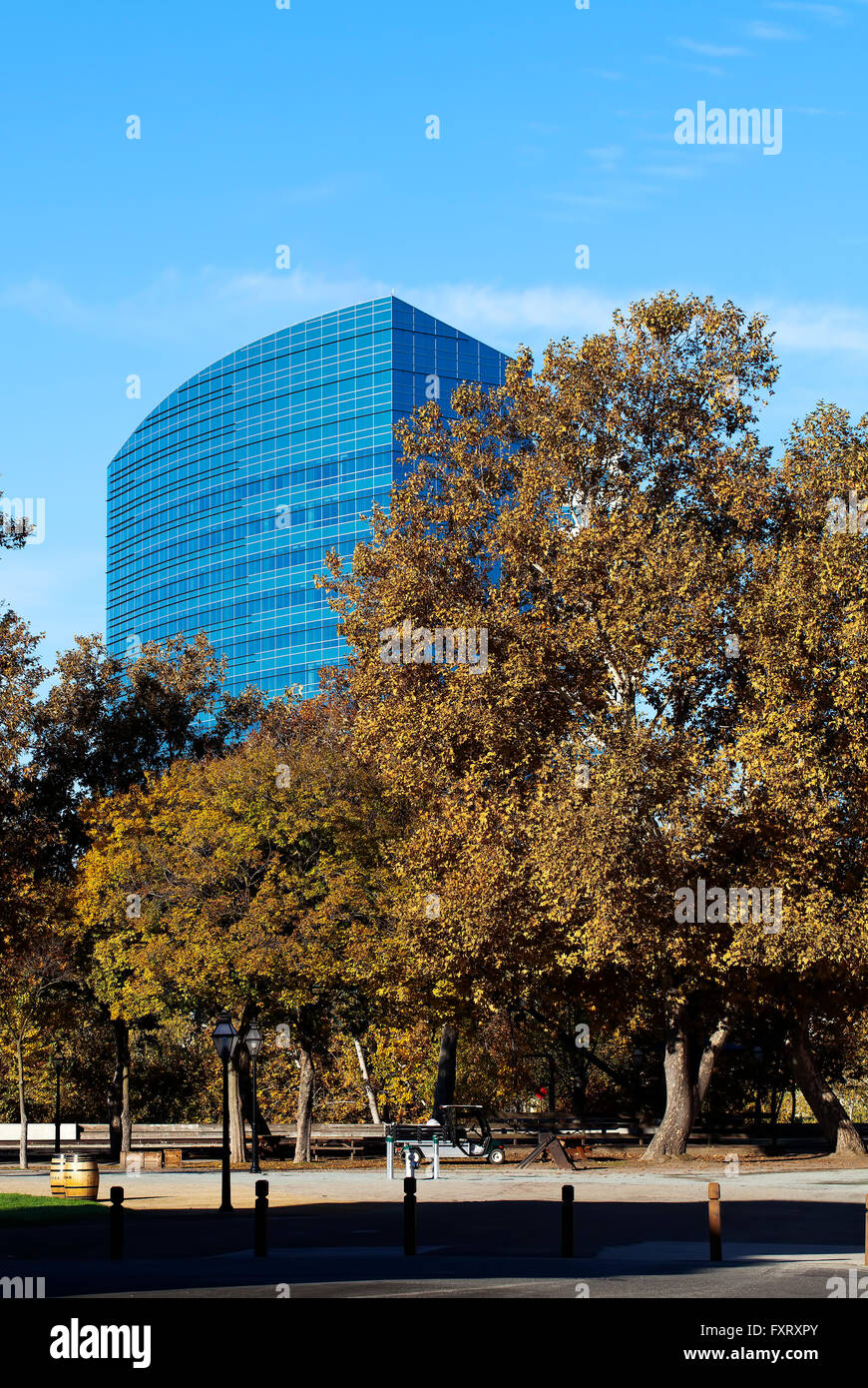 Office Building Between Autumn Trees and Blue Sky Stock Photo - Alamy