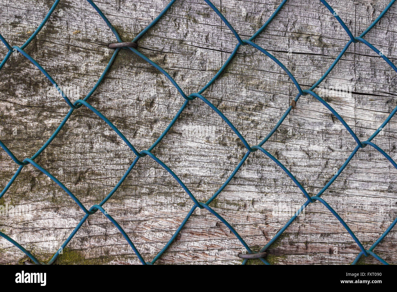 Diamond fence nailed on wood panel. Stock Photo