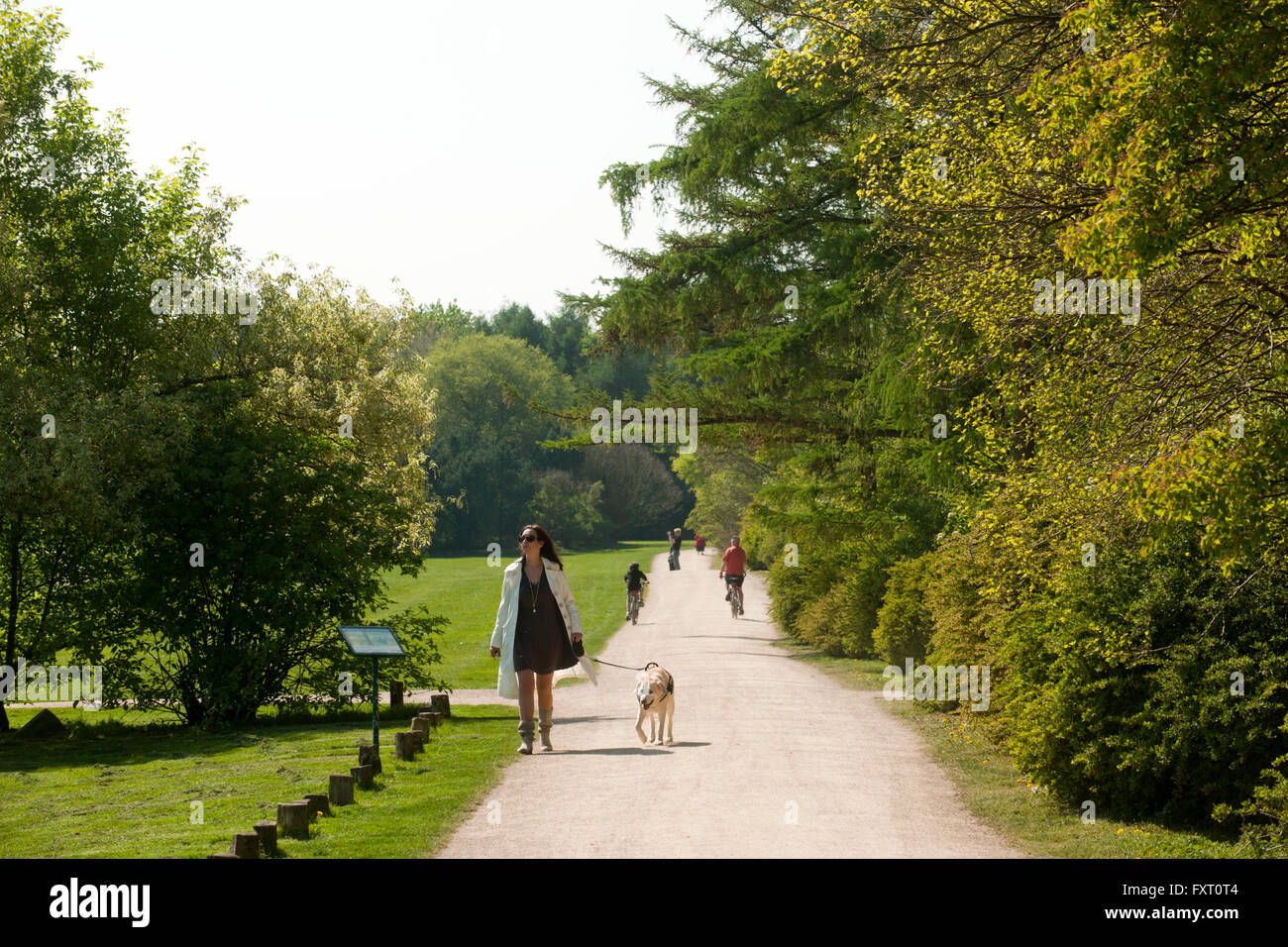 Deutschland, Nordrhein-Westfalen, Köln-Rodenkirchen, am Forstbotanischen Garten Stock Photo