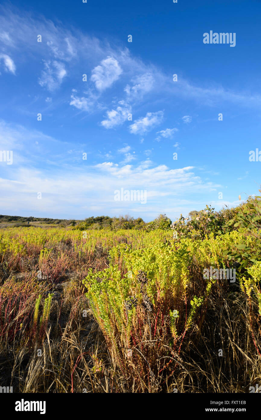 Parnka Point, the Coorong National Park, Fleurieu Peninsula, South Australia Stock Photo