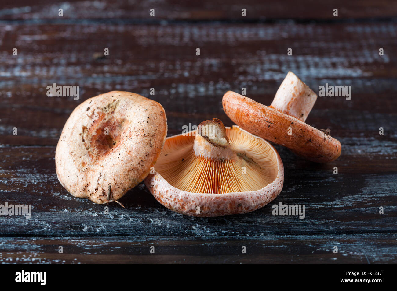 Three orange edible mushrooms on rustic wooden table closeup. Stock Photo