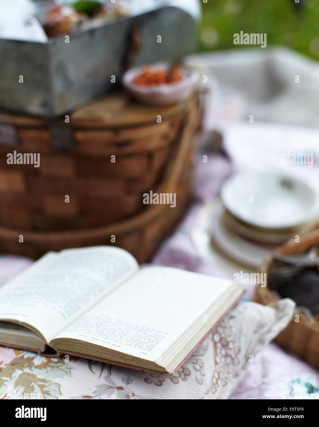 Open book on pillow by picnic basket Stock Photo Alamy