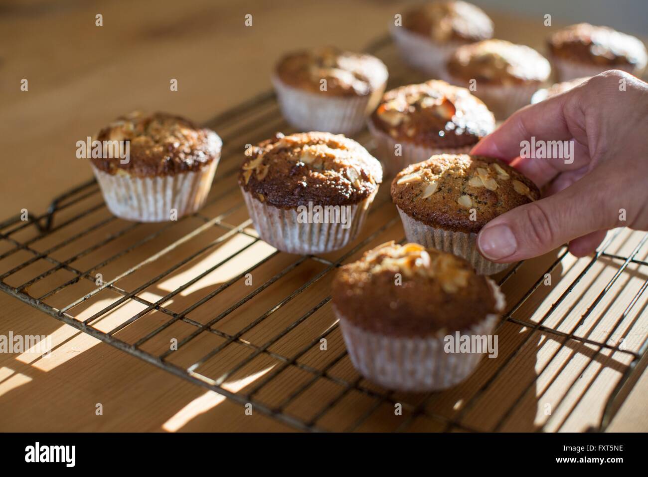 Hand picking up gluten free muffins from cooling tray Stock Photo
