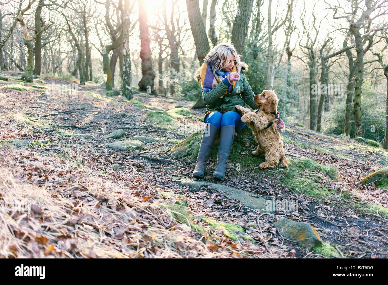 Woman giving treat to puppy in forest Stock Photo