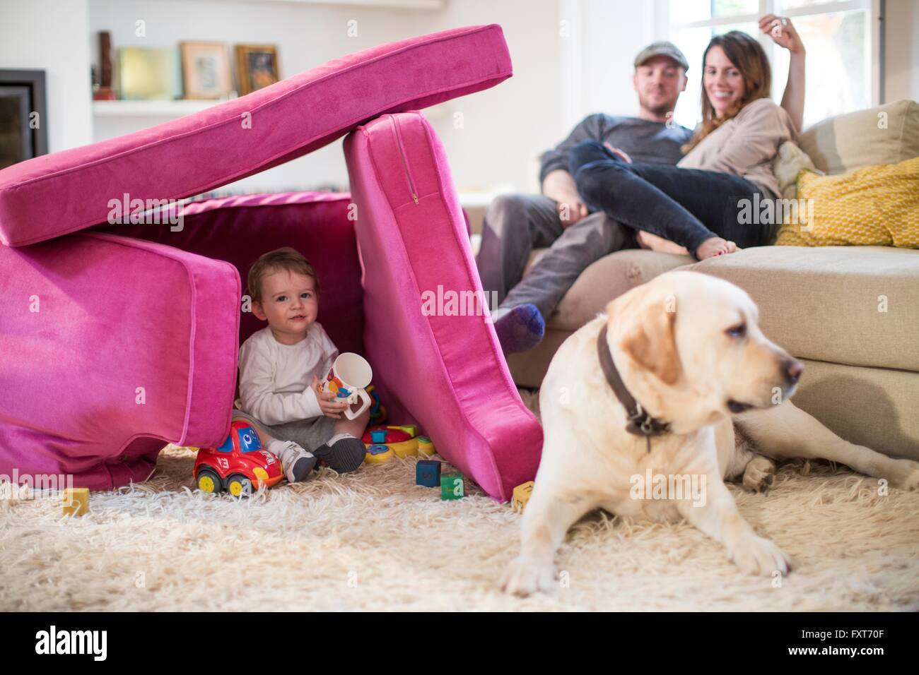 Baby boy and pet dog playing in fort made from sofa cushions Stock Photo