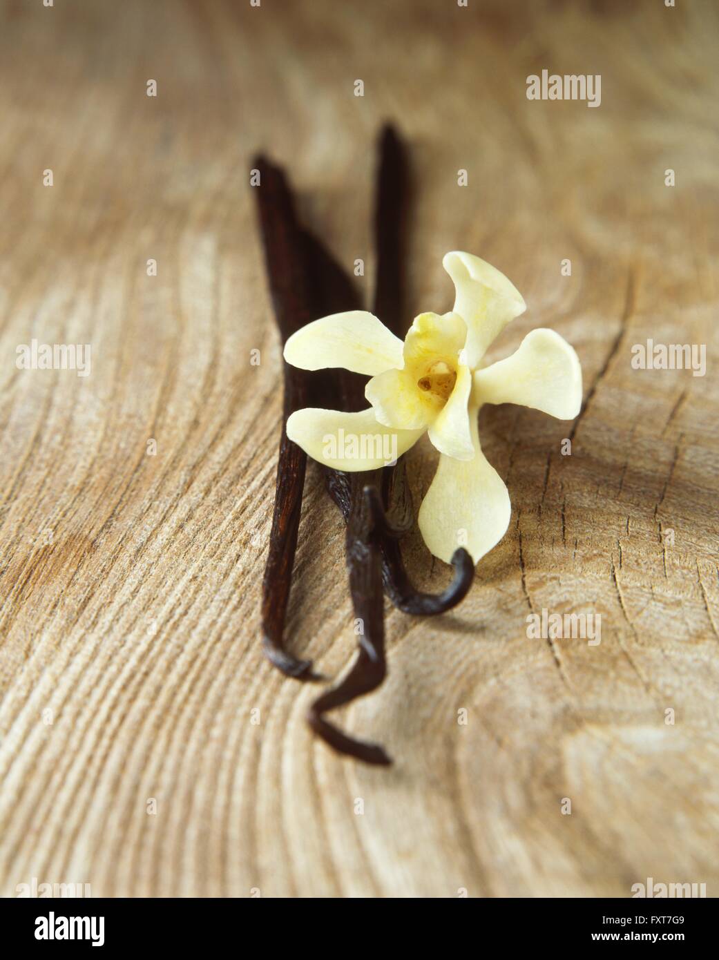 Vanilla pods and flower Stock Photo Alamy