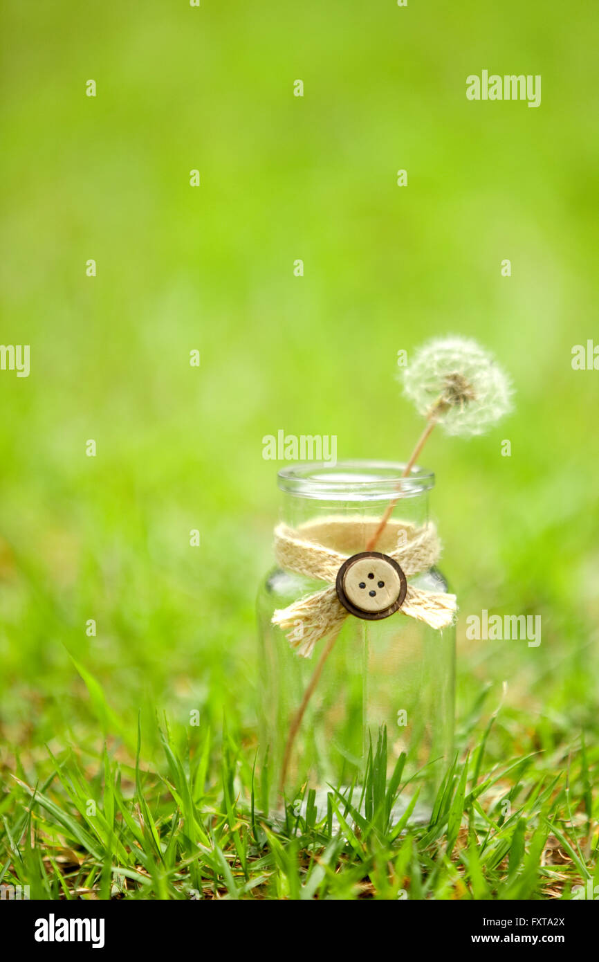 Sensitive Object III Stock Photo - Alamy