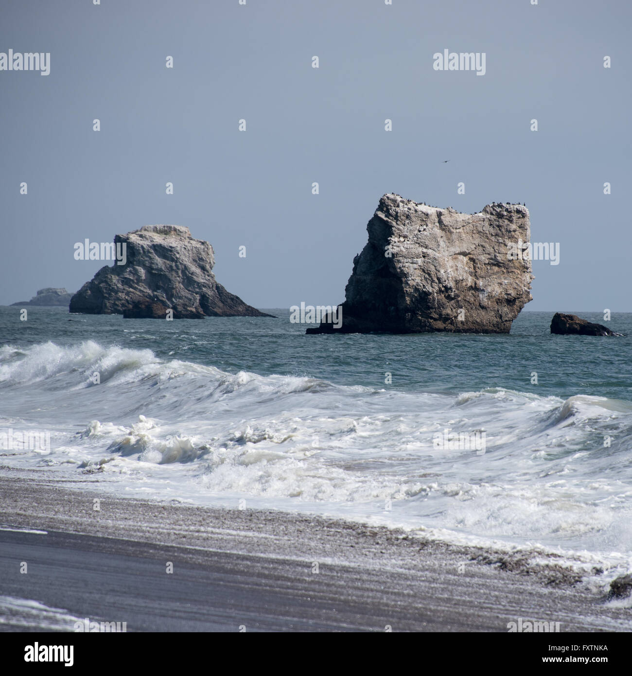 Beach in Point Reyes National Seashore, California, USA Stock Photo