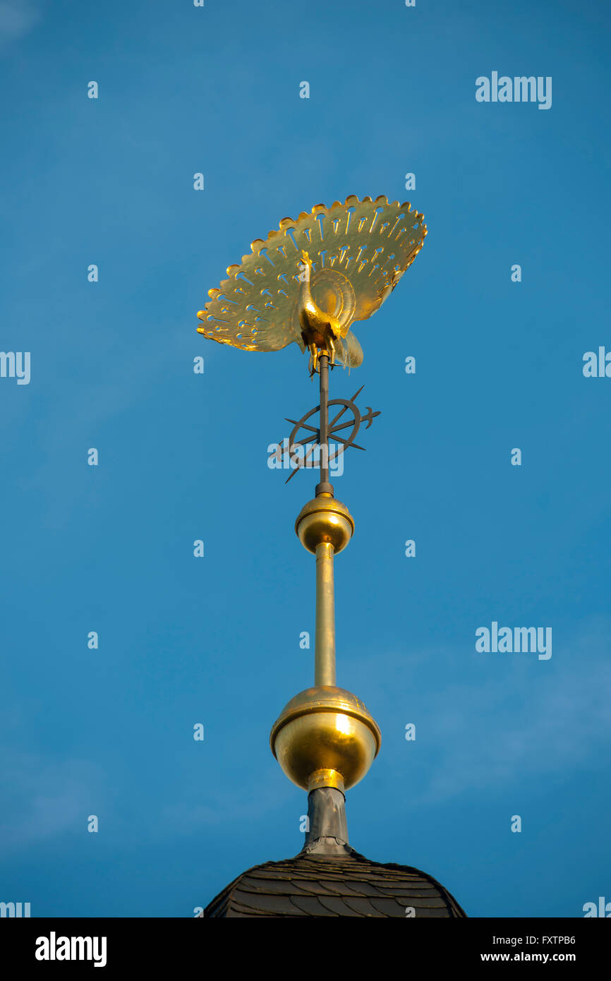 Deutschland, Nordrhein-Westfalen, Paderborn, vergoldeter Pfau als Wetterfahne auf dem Turm der spätbarocken Liborikapelle Stock Photo