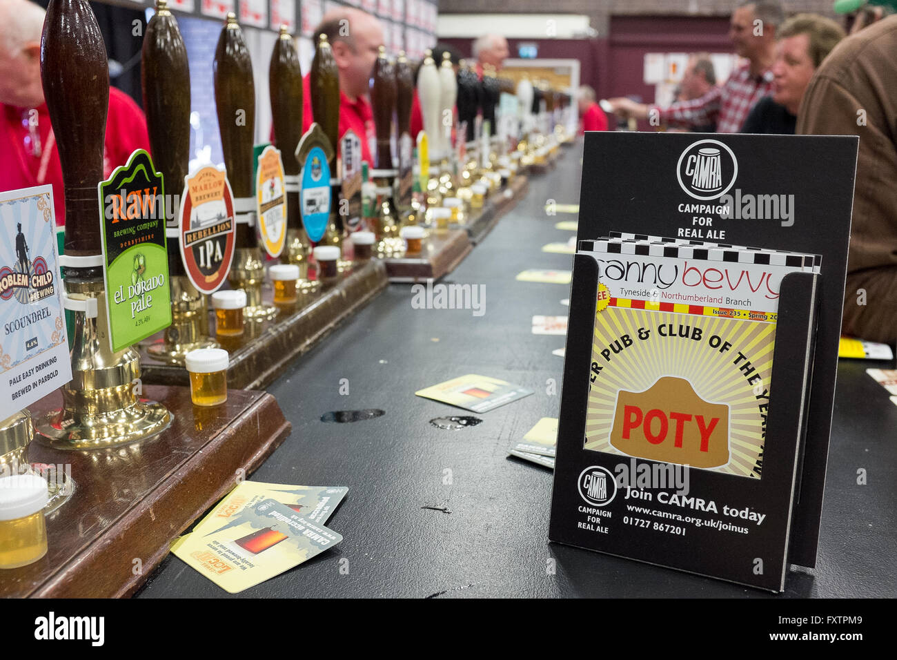 A CAMRA beer festival bar, local branch newsletter in the foreground Stock Photo