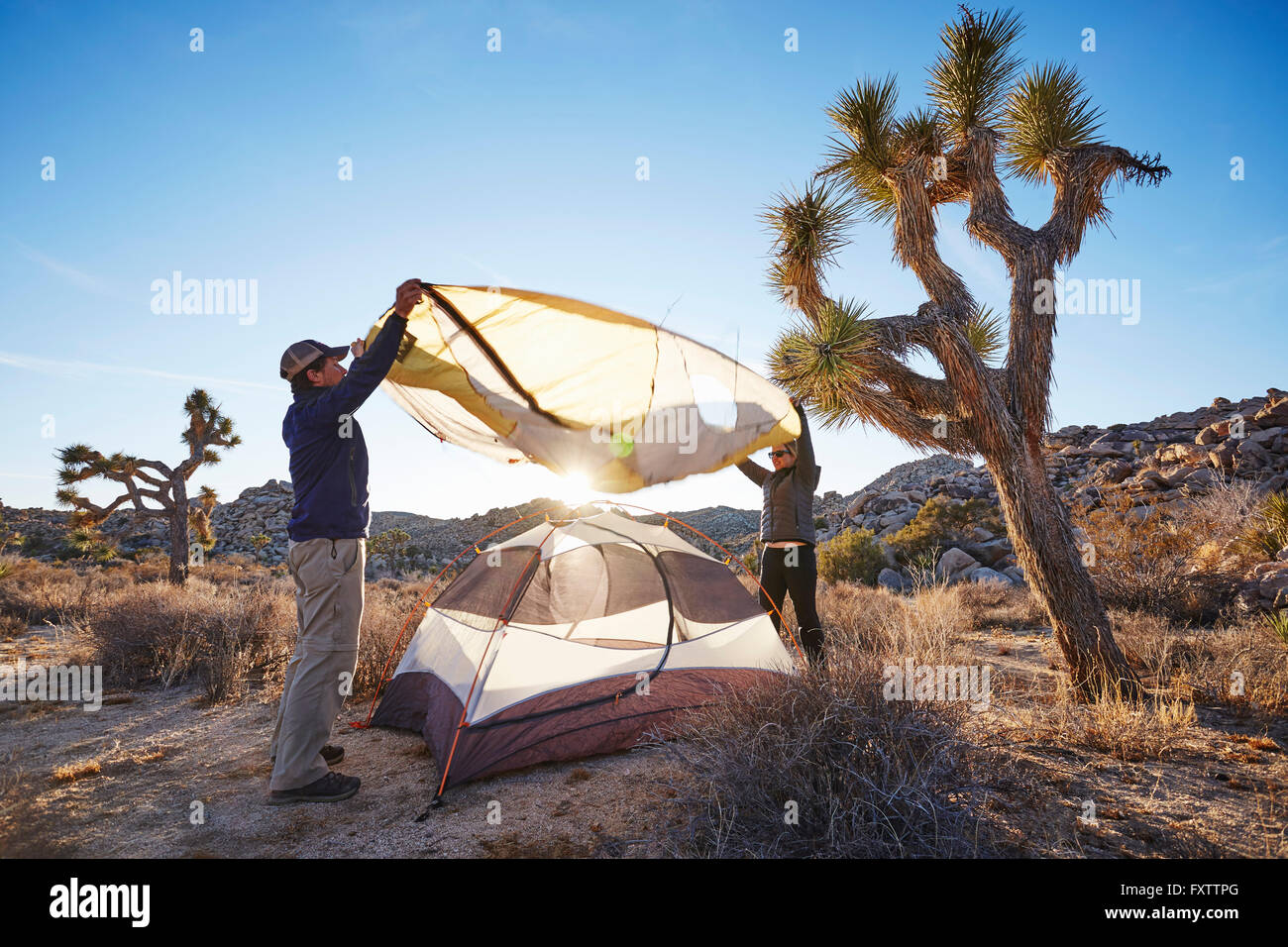 Campers assembling tent, Joshua Tree National Park, California Stock Photo