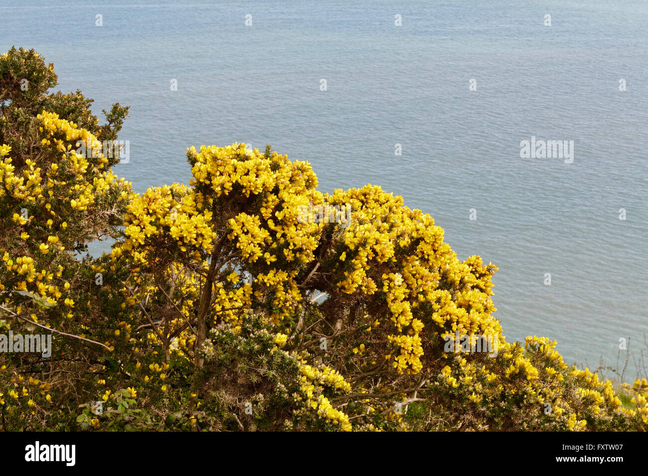Hiking trip on the Cliff Walk from Bray to Greystones in Ireland on the 17.04.2016 Stock Photo