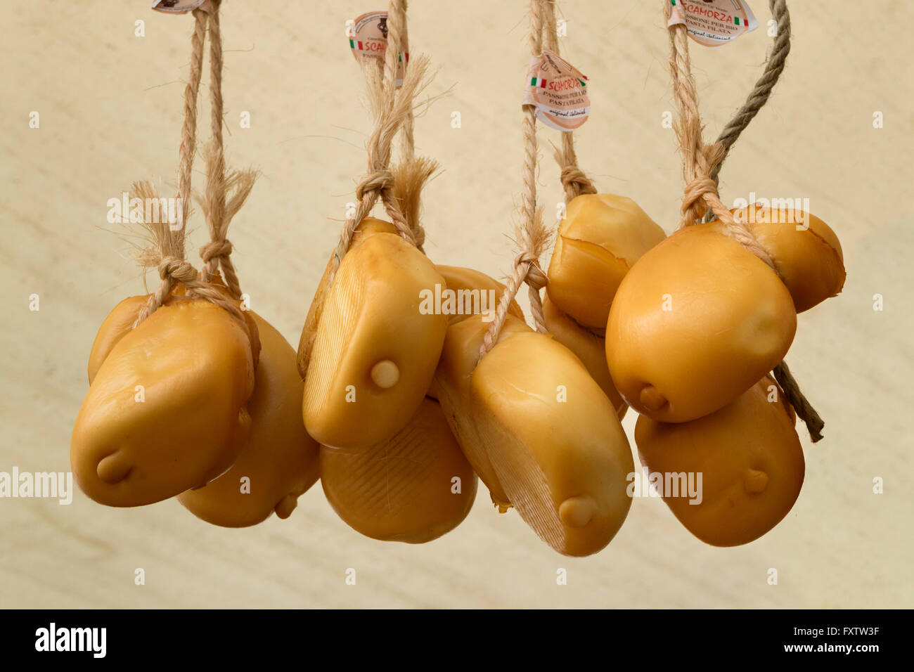 Smoked scamorza cheeses hanging on ropes Stock Photo