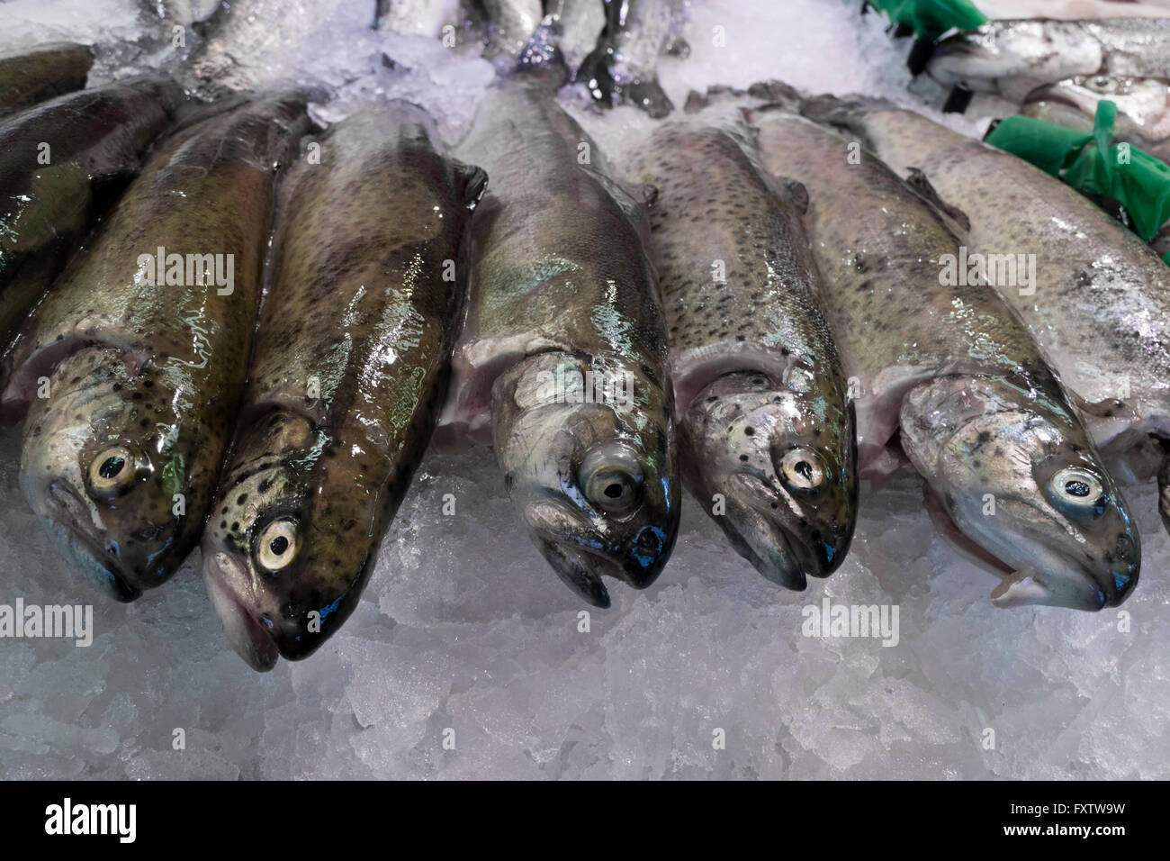 Fresh raw trout fishes on ice Stock Photo