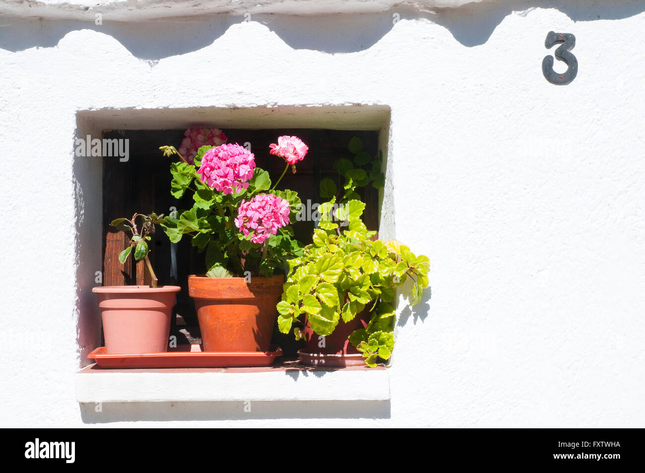 Flower pots in small window. Hervas, Caceres province, Extremadura, Spain. Stock Photo
