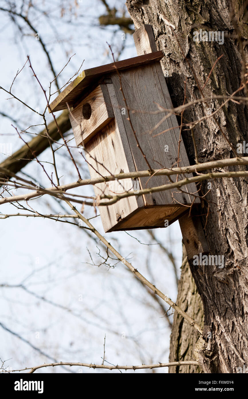 Wooden empty bird house on the tree, nest box in early spring season in Poland, Europe. Stock Photo