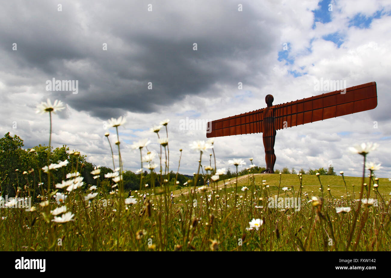 ANTONY GORMLEY SCULPTURE THE ANGEL OF THE NORTH GATESHEAD & TYNE AND ...