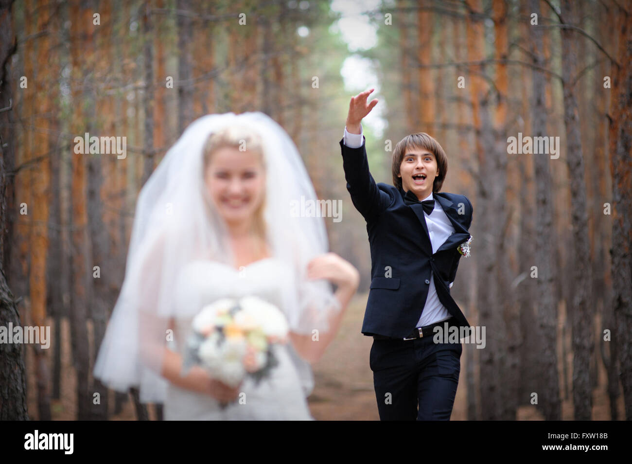 bride and groom walking in a pine forest Stock Photo - Alamy