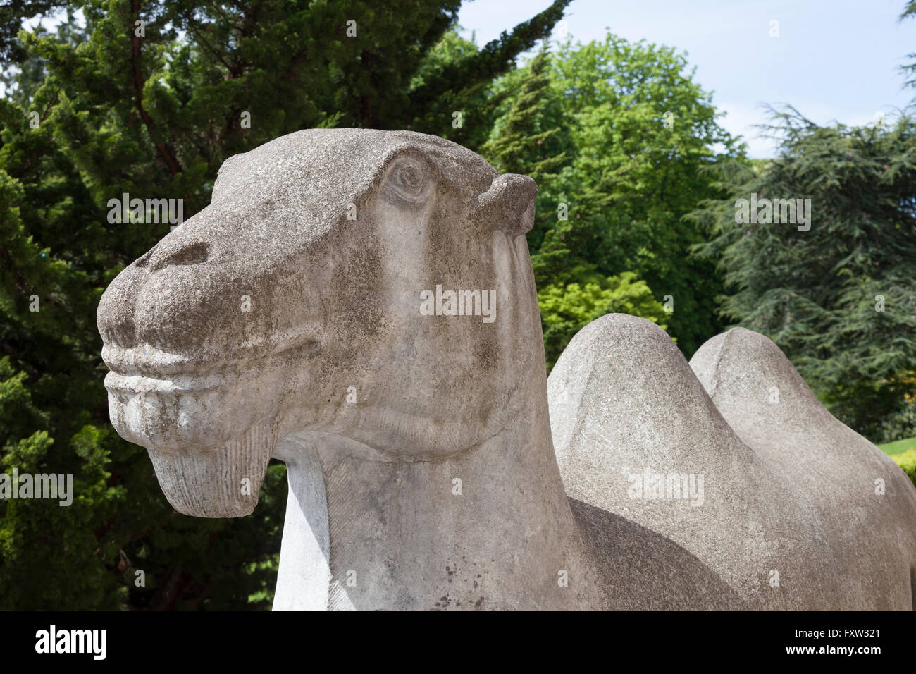 Seattle, Washington: Camel Sculpture at Seattle Asian Art Museum Stock Photo