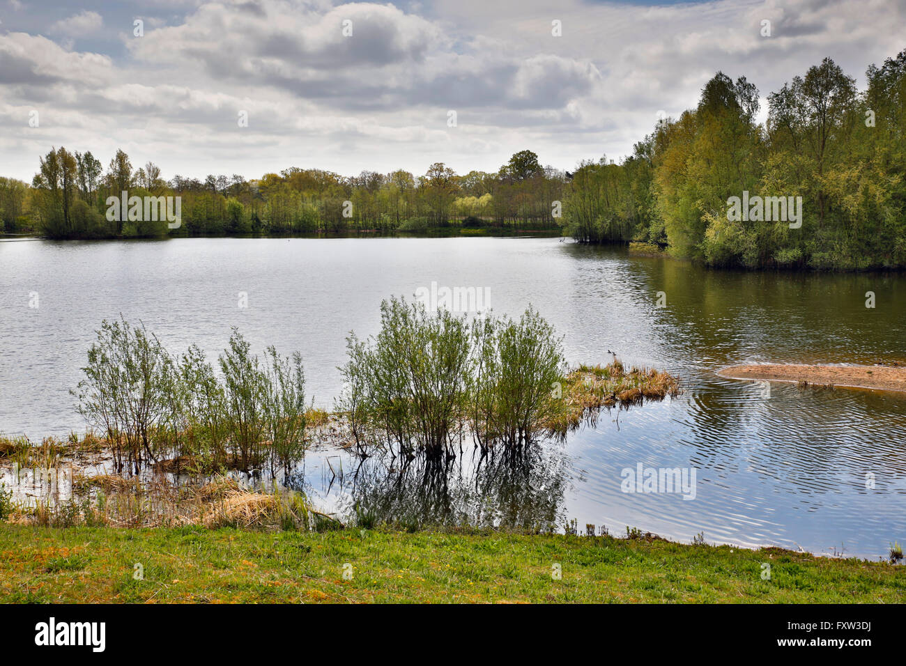 Bodenham; Herefordshire; UK Stock Photo Alamy