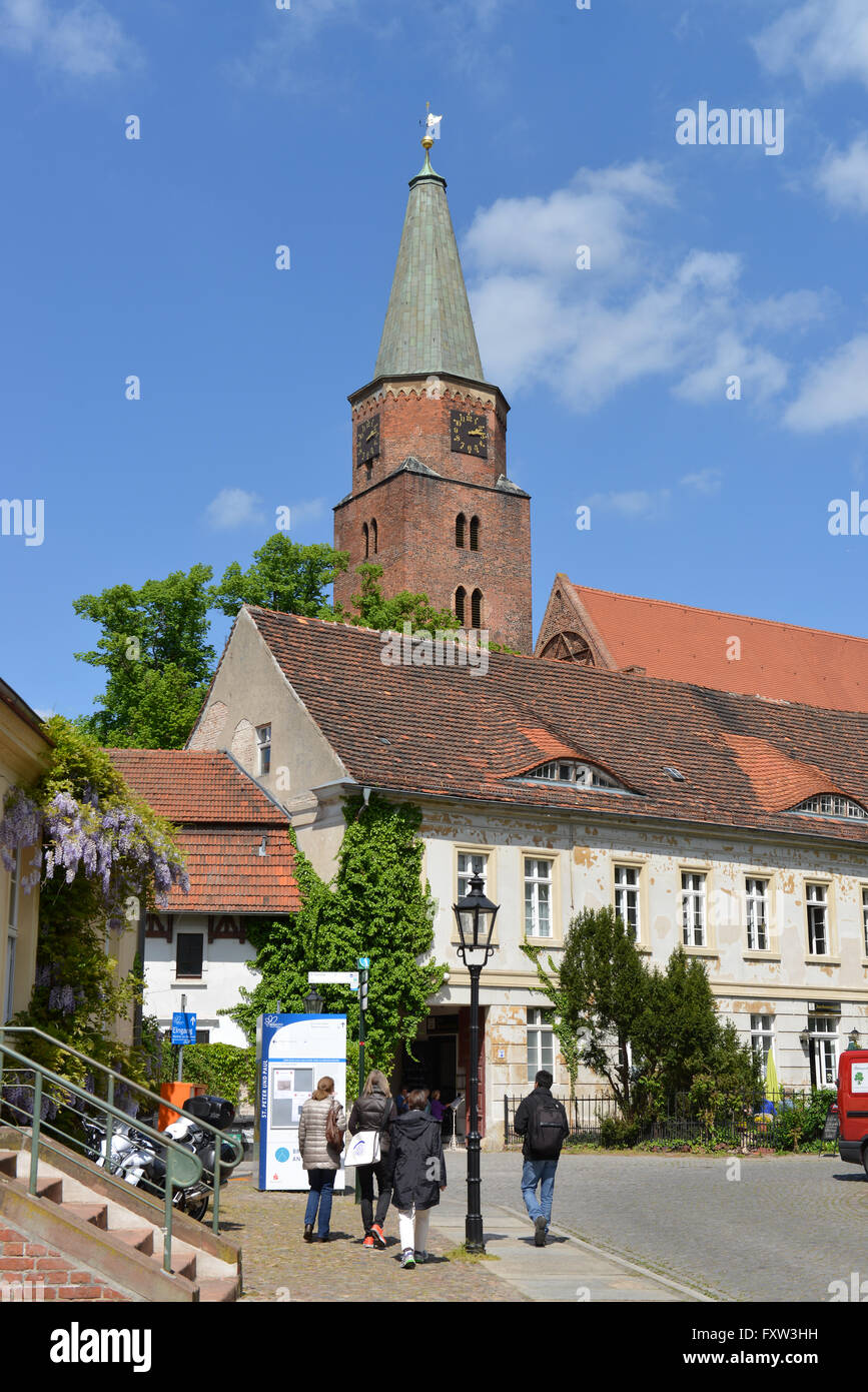 Dom, Brandenburg an der Havel, Brandenburg, Deutschland Stock Photo