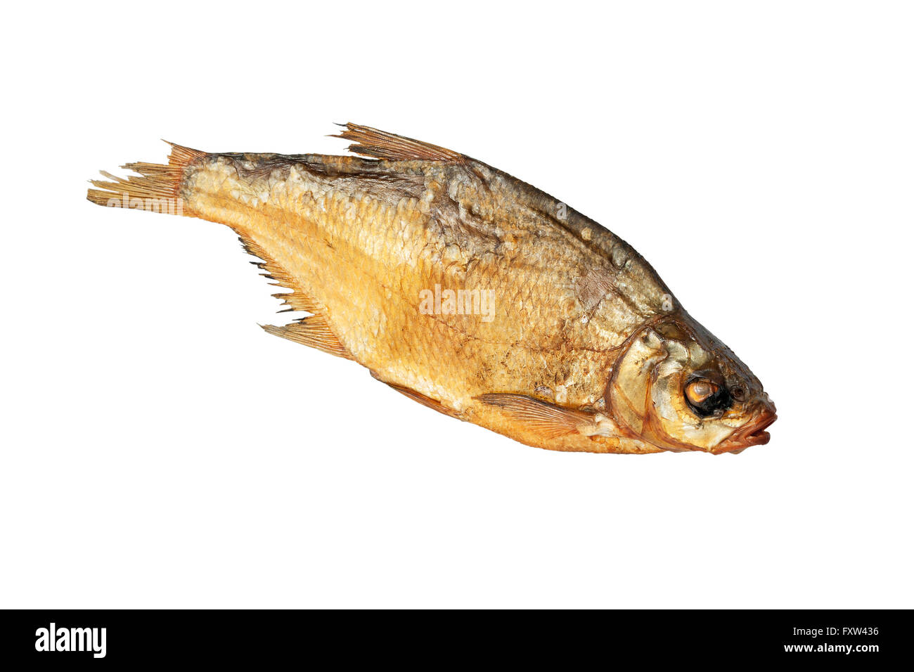 fish, salted, food, seafood, white, salt, dried, isolated, traditional
