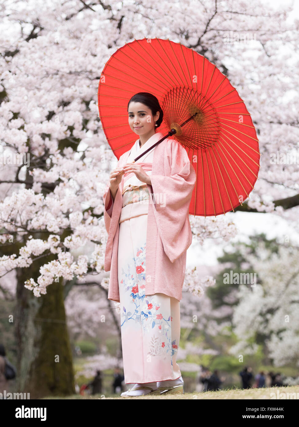 Portrait of young Japanese woman wearing kimono with cherry blossom in Shinjuku Gyoen Park, Tokyo, Japan, Stock Photo