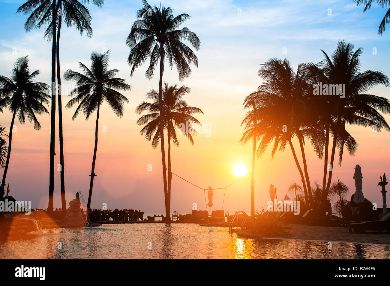 Palm tree beach sunset hi-res stock photography and images - Alamy