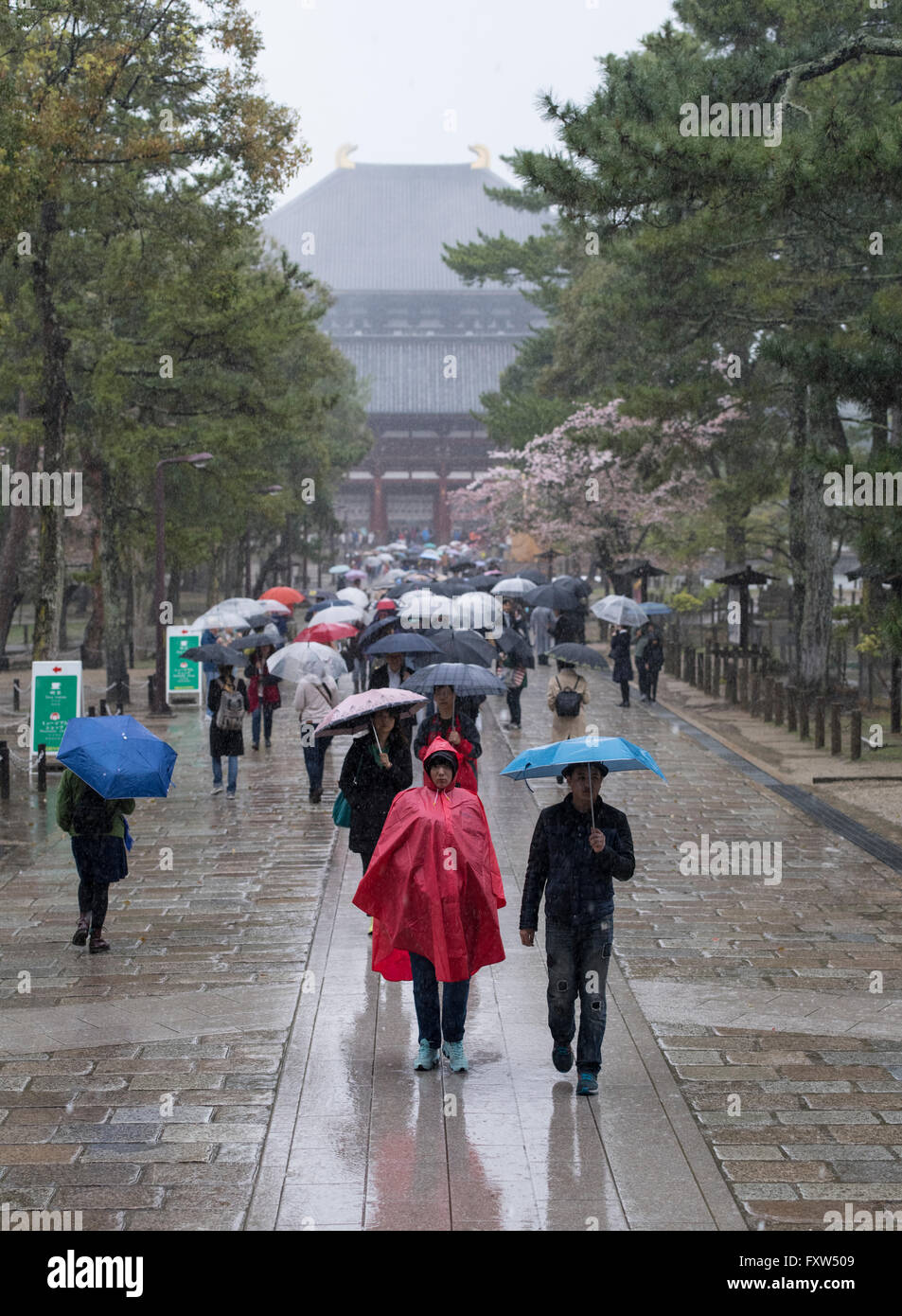 Rainy day and tourists at Tōdai-ji 東大寺 Eastern Great Temple, Buddhist temple in Nara Japan. The Great Buddha Hall, Daibutsuden, Stock Photo