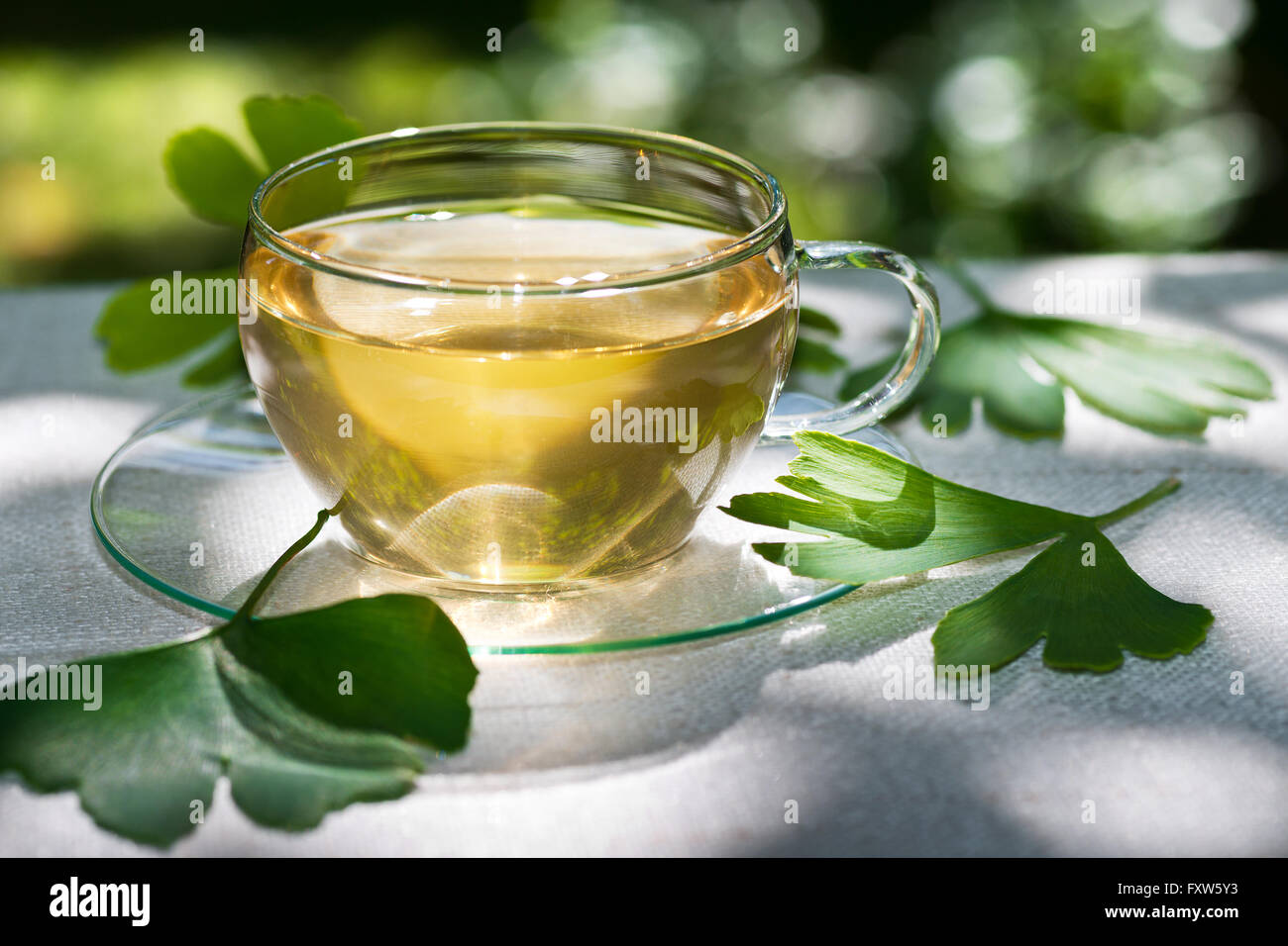 glass of herbaceous tea with ginkgo leaves Stock Photo