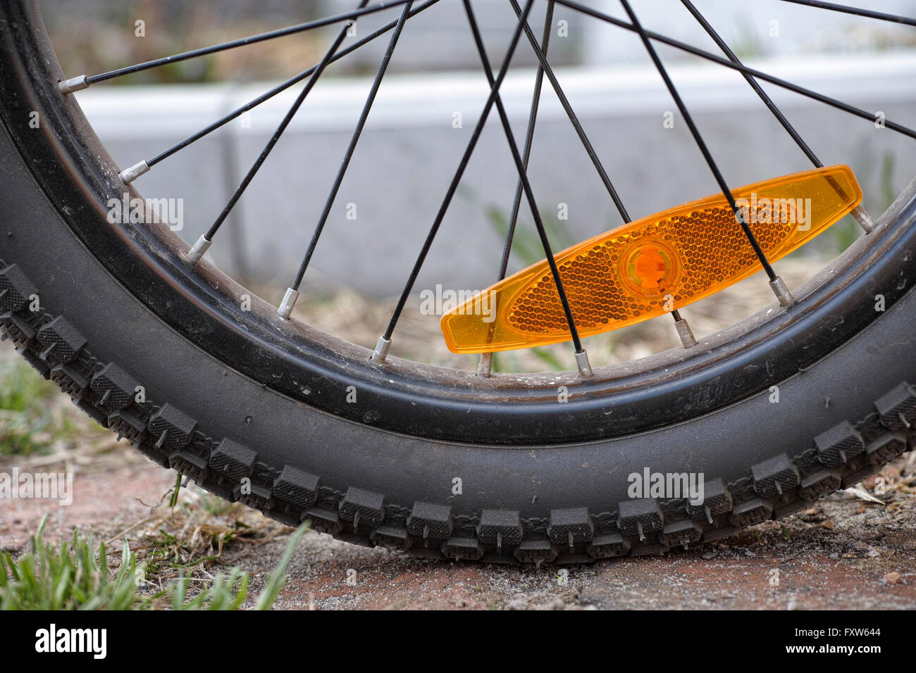 Mountain bike wheel. Closeup. Stock Photo