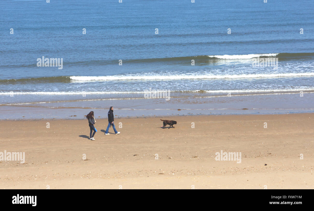 A couple walking their dog on the beach at Brancaster, Norfolk, England