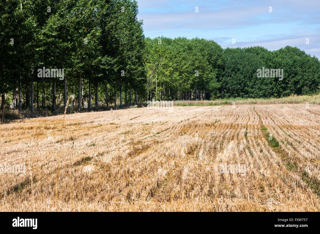 Irrigated agricultural land hi-res stock photography and images - Page 3 -  Alamy