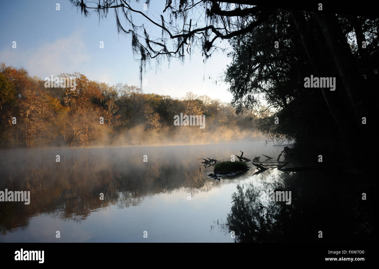 Stained Rivers Santa Fe is a blackwater river. The water is stained dark by tannin ...