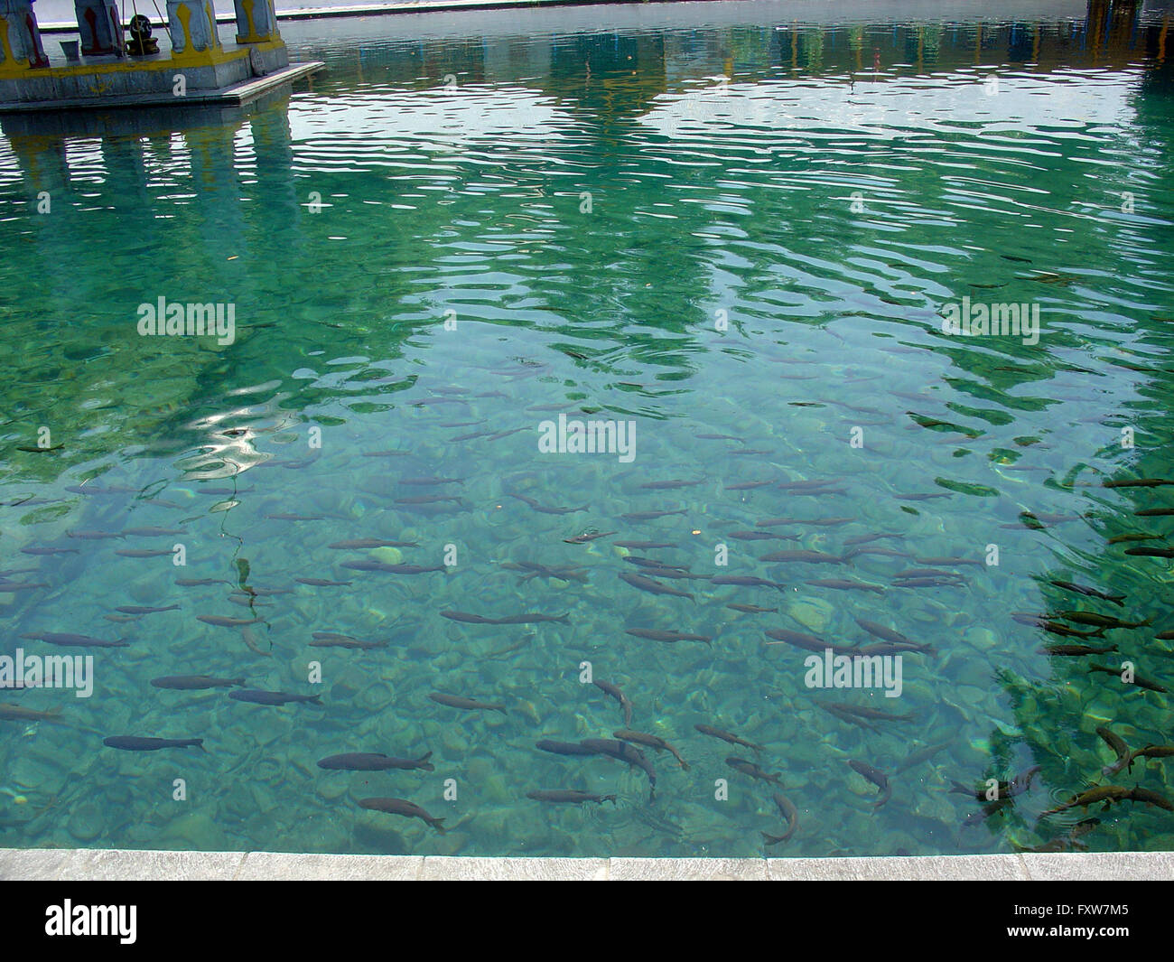 Pond in the premises of Gurudwara Nanak Dev Ji, Mattan, Anantnag, Kashmir, India Stock Photo