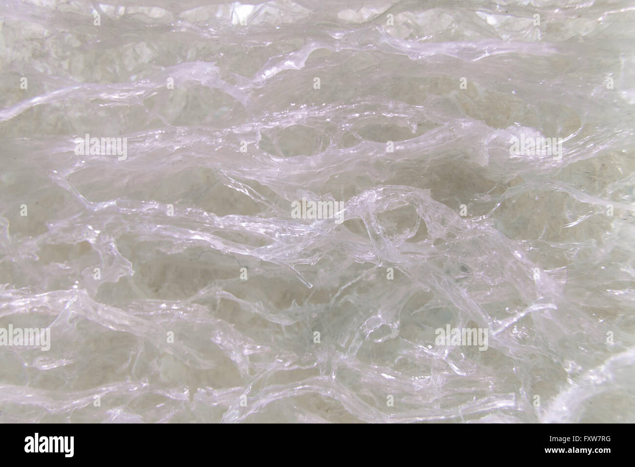 crystal texture of edible bird nest Chinese cuisine Stock Photo Alamy