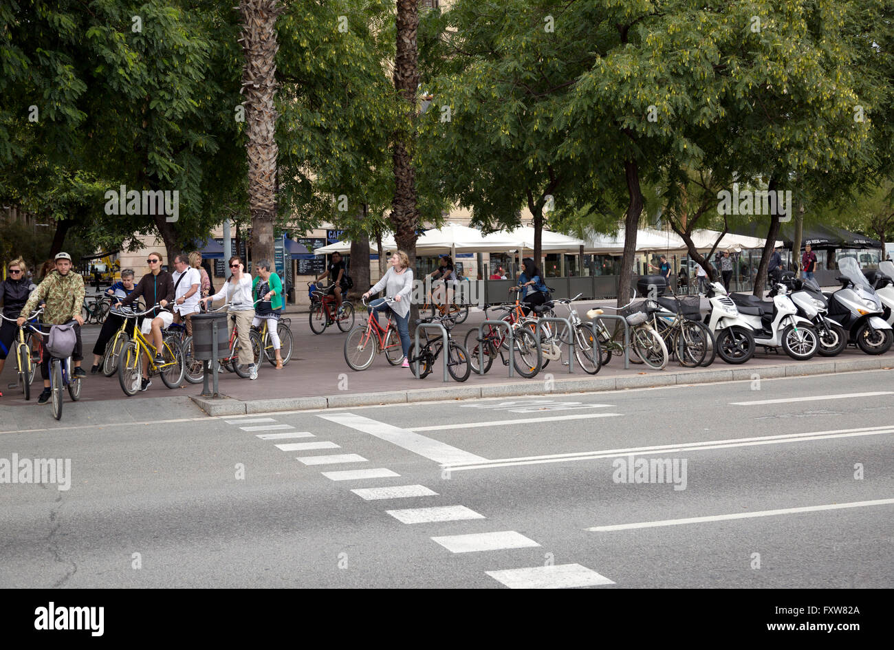 People, tourists, locals on bicycles waiting for traffic light to cross street in Barcelona Spain. Stock Photo