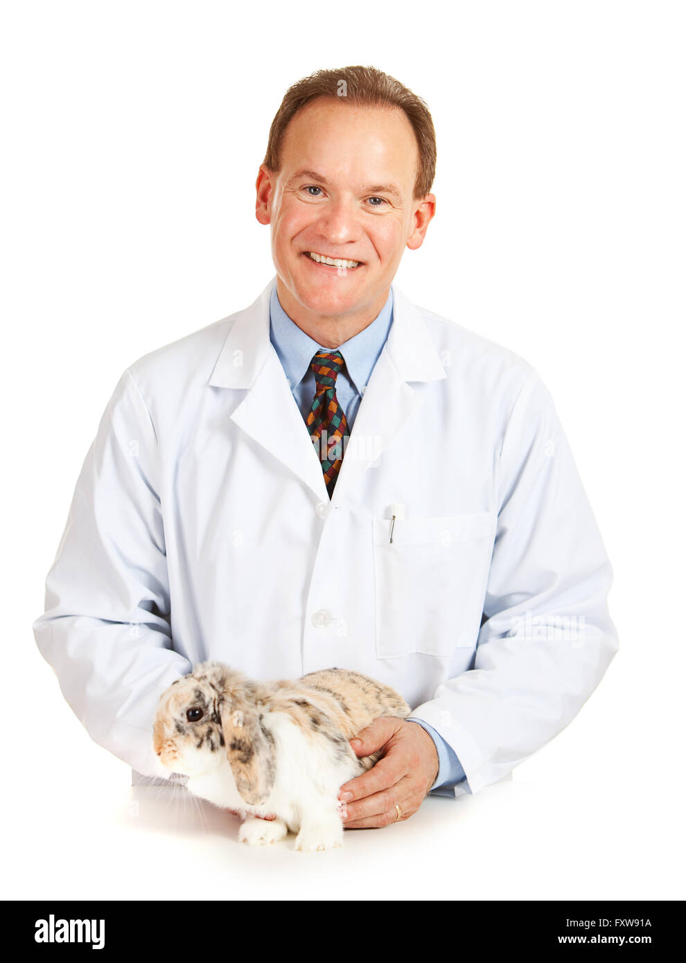 Female veterinarian holding up cat Cut Out Stock Images & Pictures Alamy