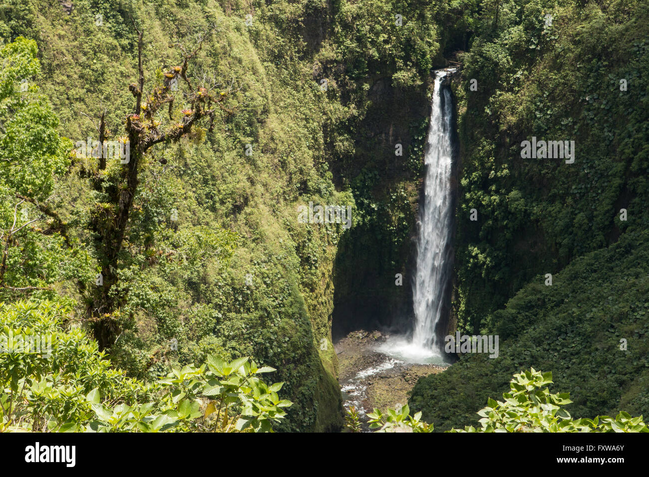 Deforestation costa rica rainforest hi-res stock photography and images