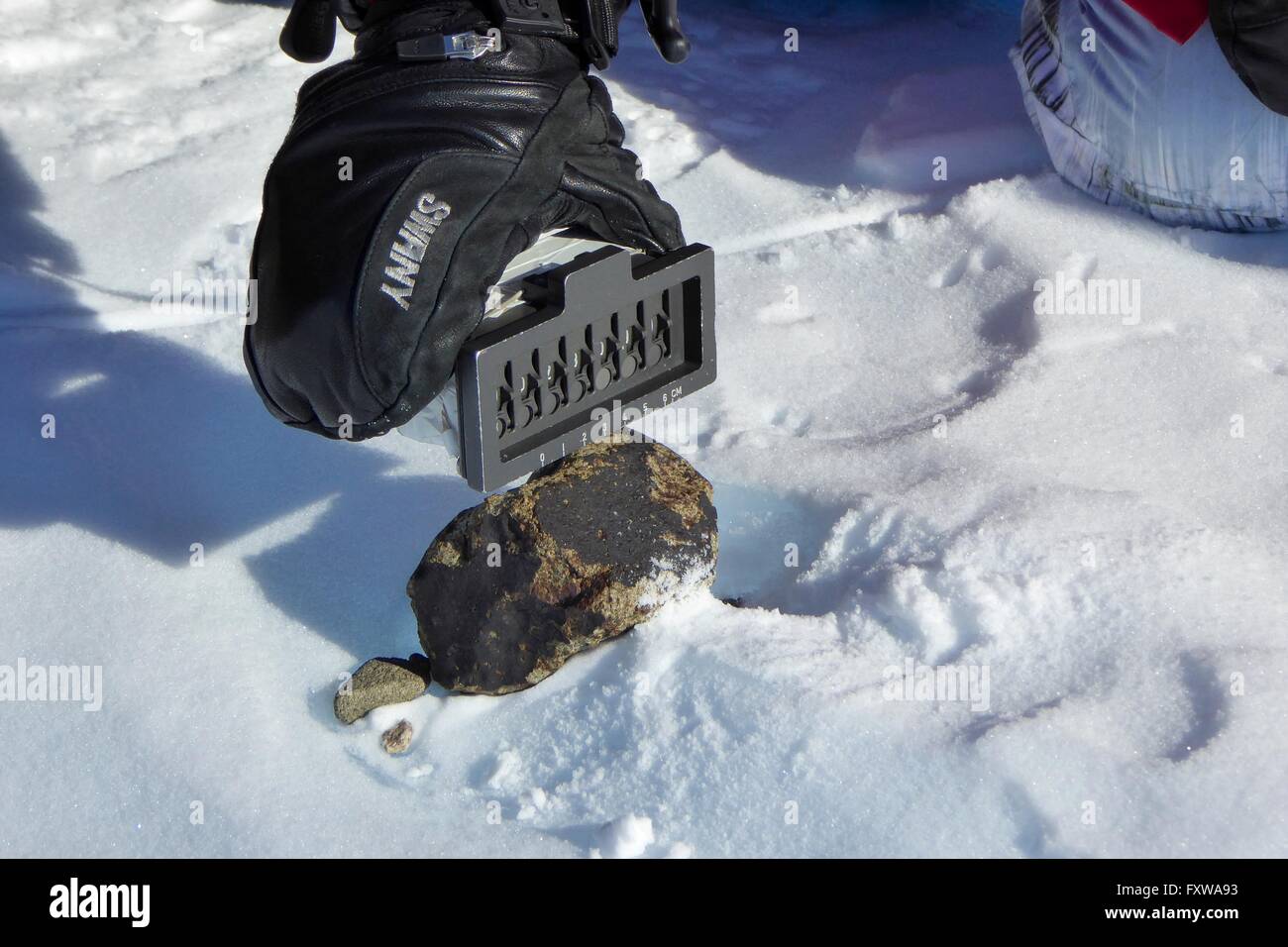 Researchers examine a meteorite found on the blue ice field in the Miller Range distinguished from earth rocks by the black fusion crust caused when the rock enters the Earth's atmosphere December 30, 2015 in Antarctica. Scientists collected 570 meteorite samples during a two-month expedition as part of the Antarctic Search for Meteorites program. Stock Photo